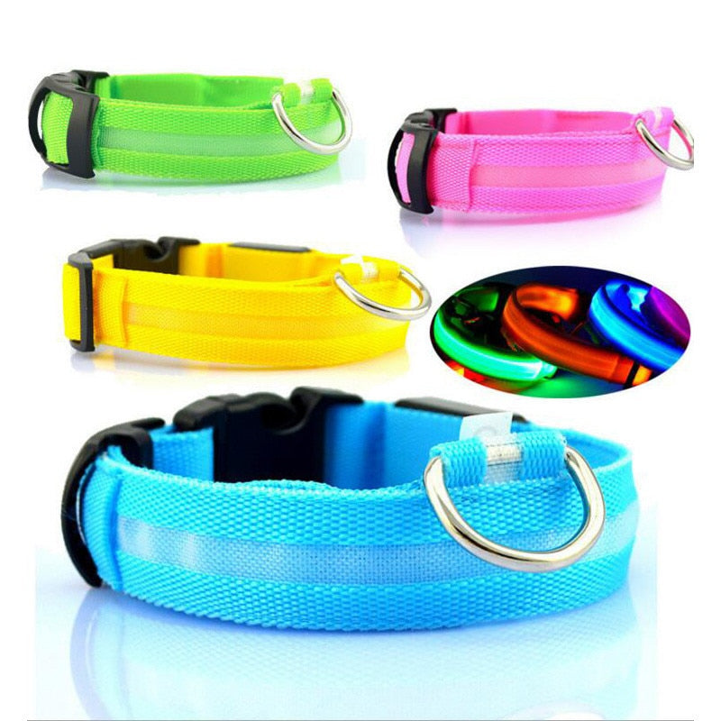 LED Night Safety Pet/Dog Collar