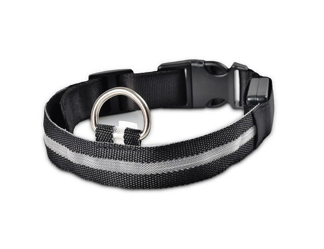 LED Night Safety Pet/Dog Collar