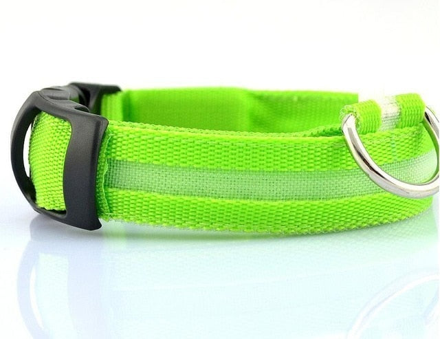 LED Night Safety Pet/Dog Collar