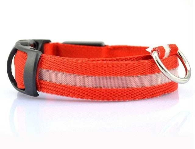 LED Night Safety Pet/Dog Collar