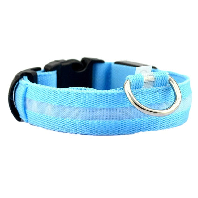 LED Night Safety Pet/Dog Collar