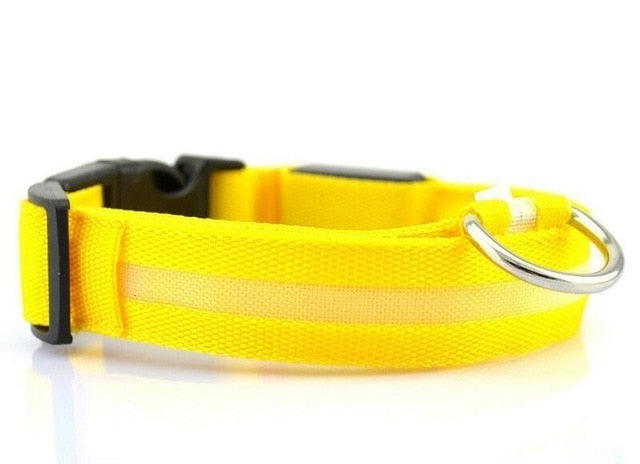 LED Night Safety Pet/Dog Collar