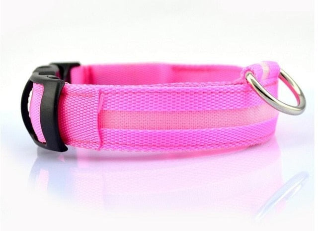 LED Night Safety Pet/Dog Collar