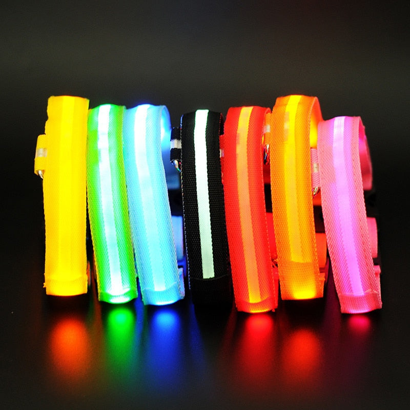 LED Night Safety Pet/Dog Collar