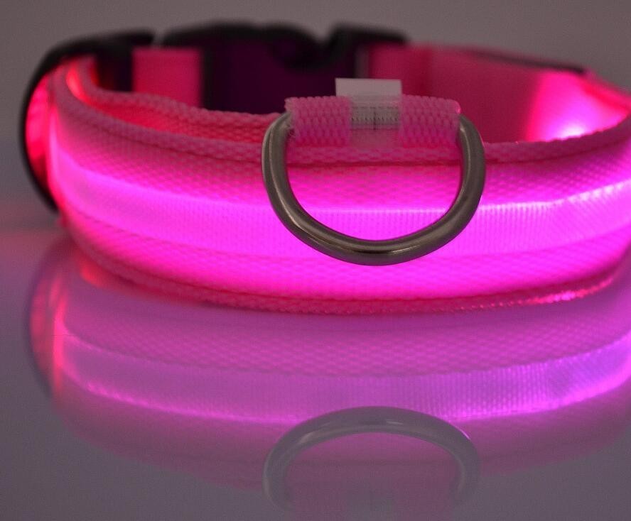 LED Night Safety Pet/Dog Collar