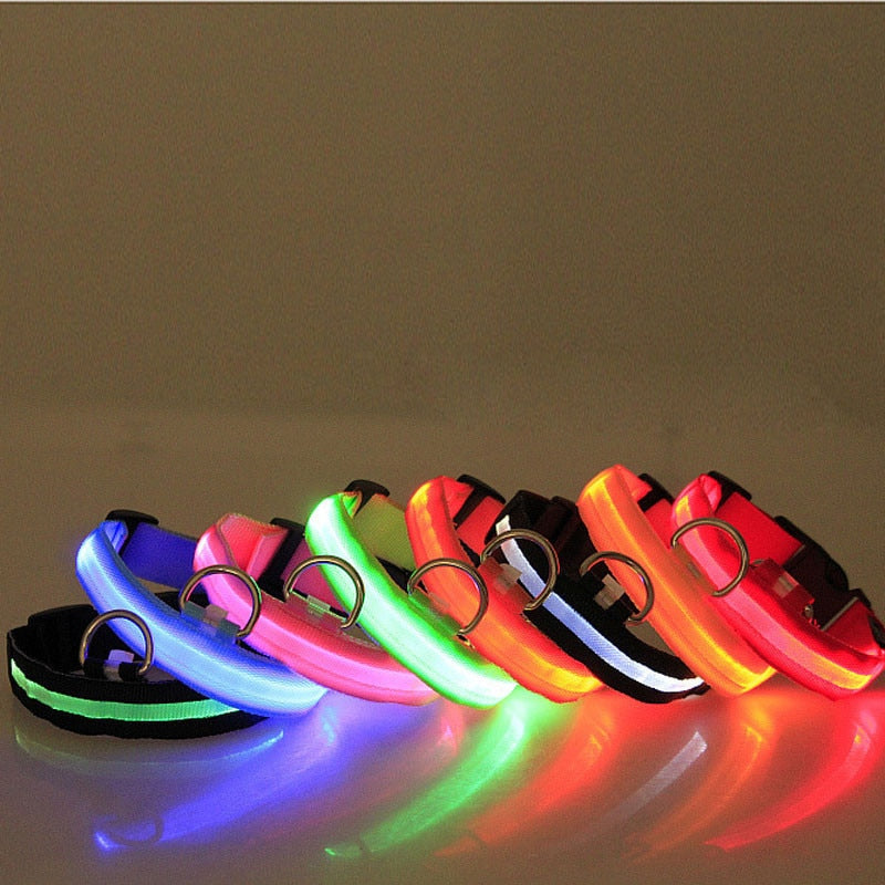 LED Night Safety Pet/Dog Collar