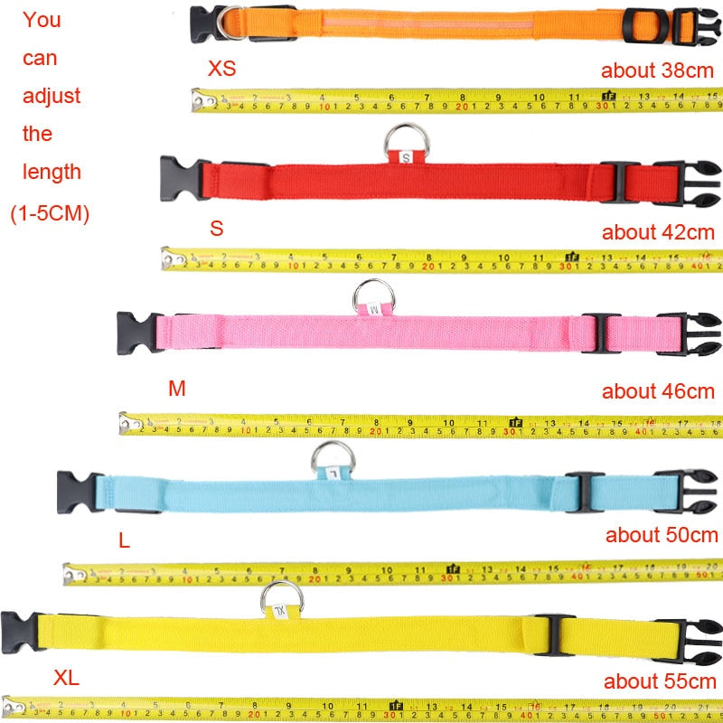 LED Night Safety Pet/Dog Collar