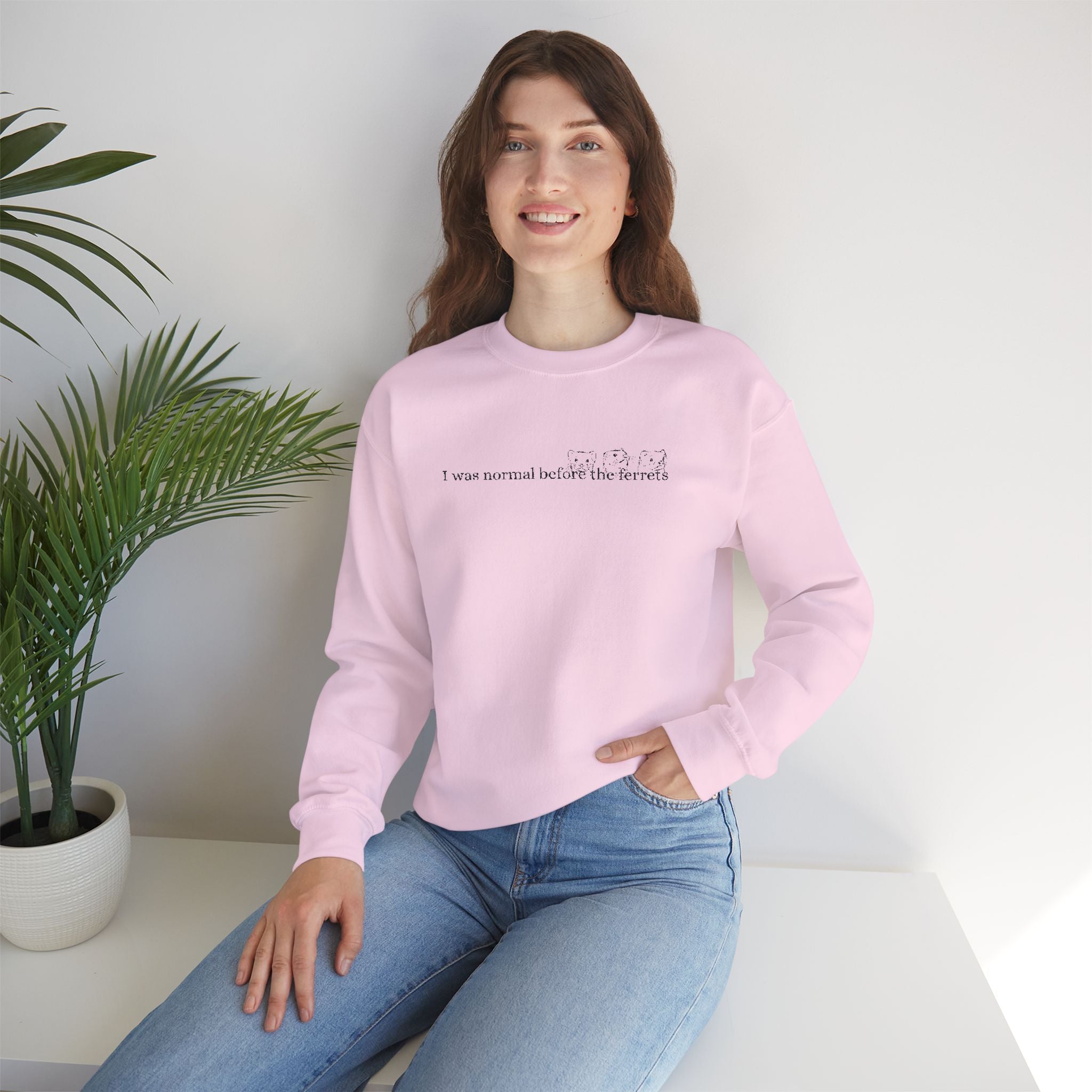 I was normal before the Ferrets embroidered sweatshirt