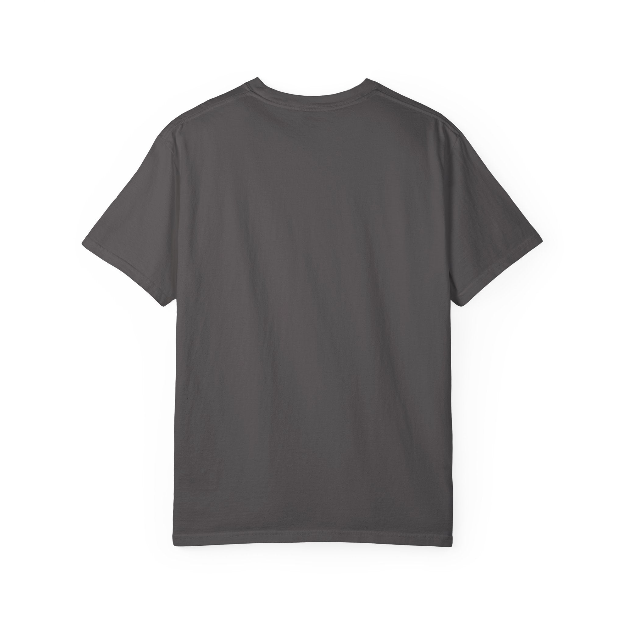 Pittsburgh Steelers Bear Spirit Animal T-Shirt | Unisex Football Fan Apparel