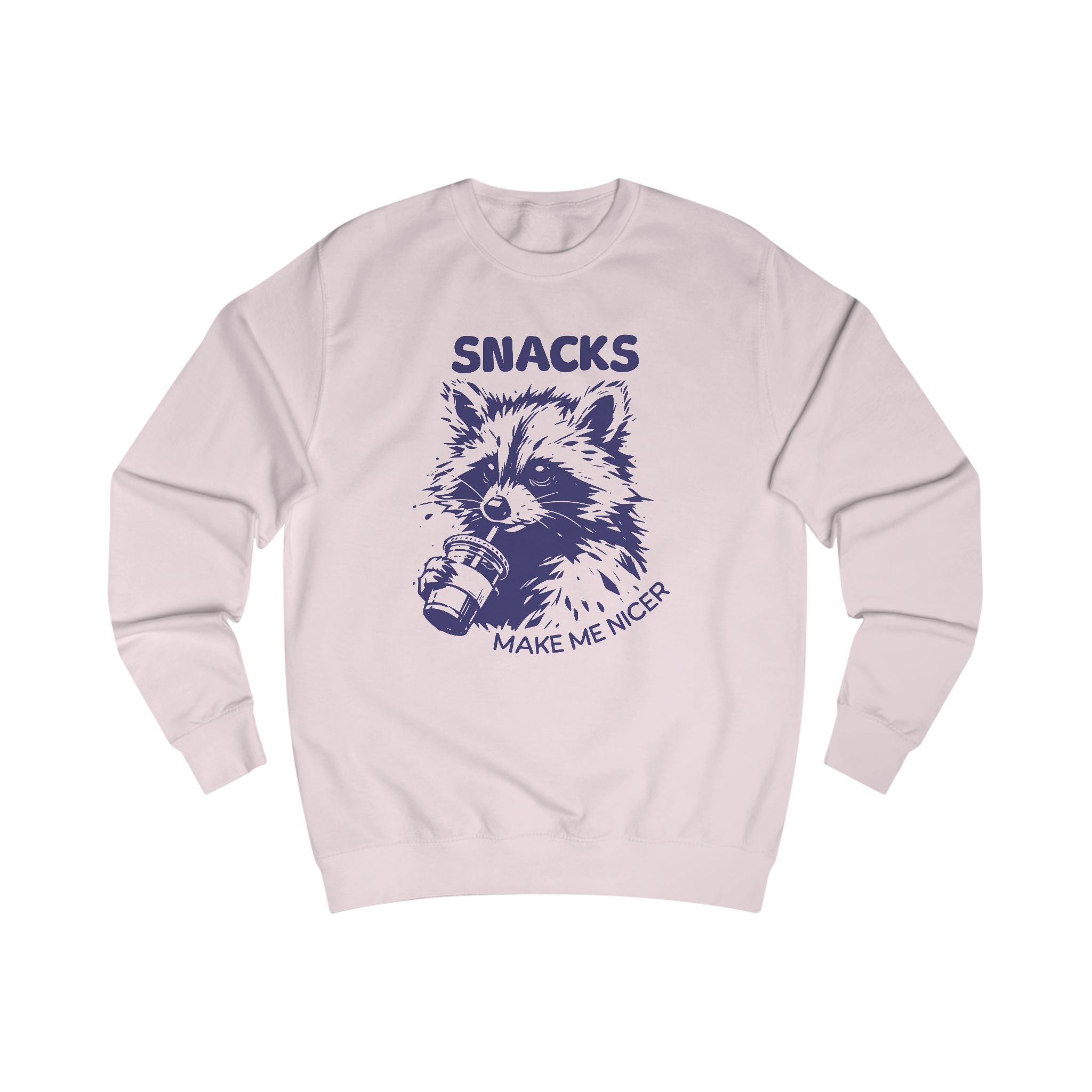 Playful Raccoon Sweatshirt - Raccoon Design, Funny Gift for Animal Lovers, Cozy Casual Wear, Unique Holiday Present, Cute Graphic Top