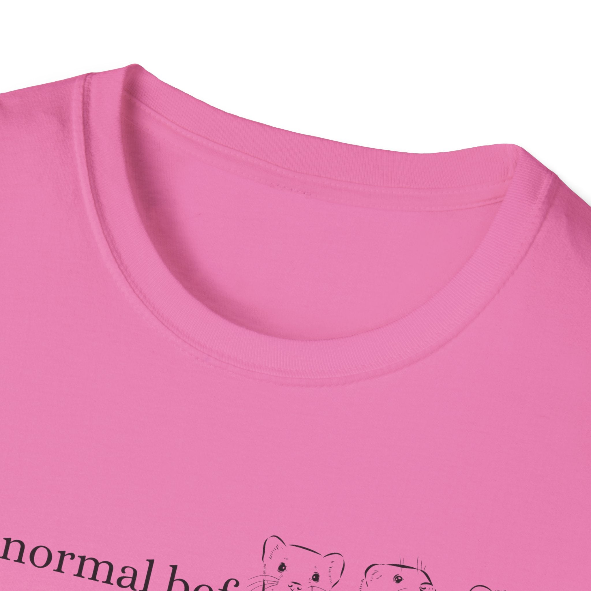 Funny Ferret Quote T-Shirt, Unisex Tee for Ferret Lovers, Casual Humor Shirt, Gift for Pet Owners, Birthday Present, Animal Lover Apparel