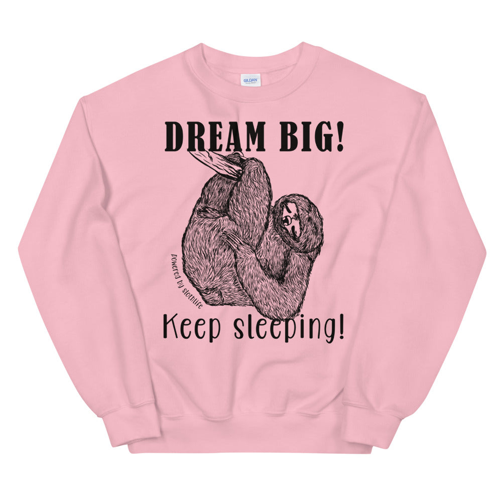 Dream Big! Keep Sleeping! Sloth sweatshirt