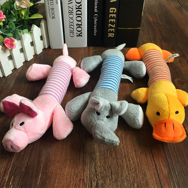 Dog, Cat, Pet Toy