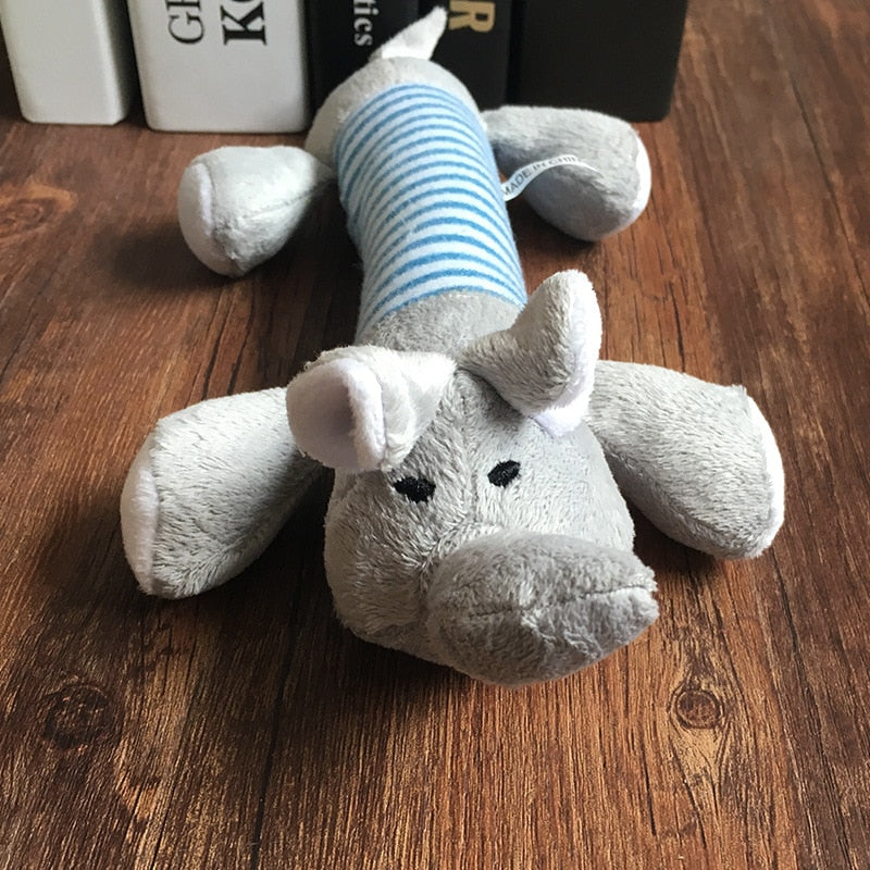 Dog, Cat, Pet Toy